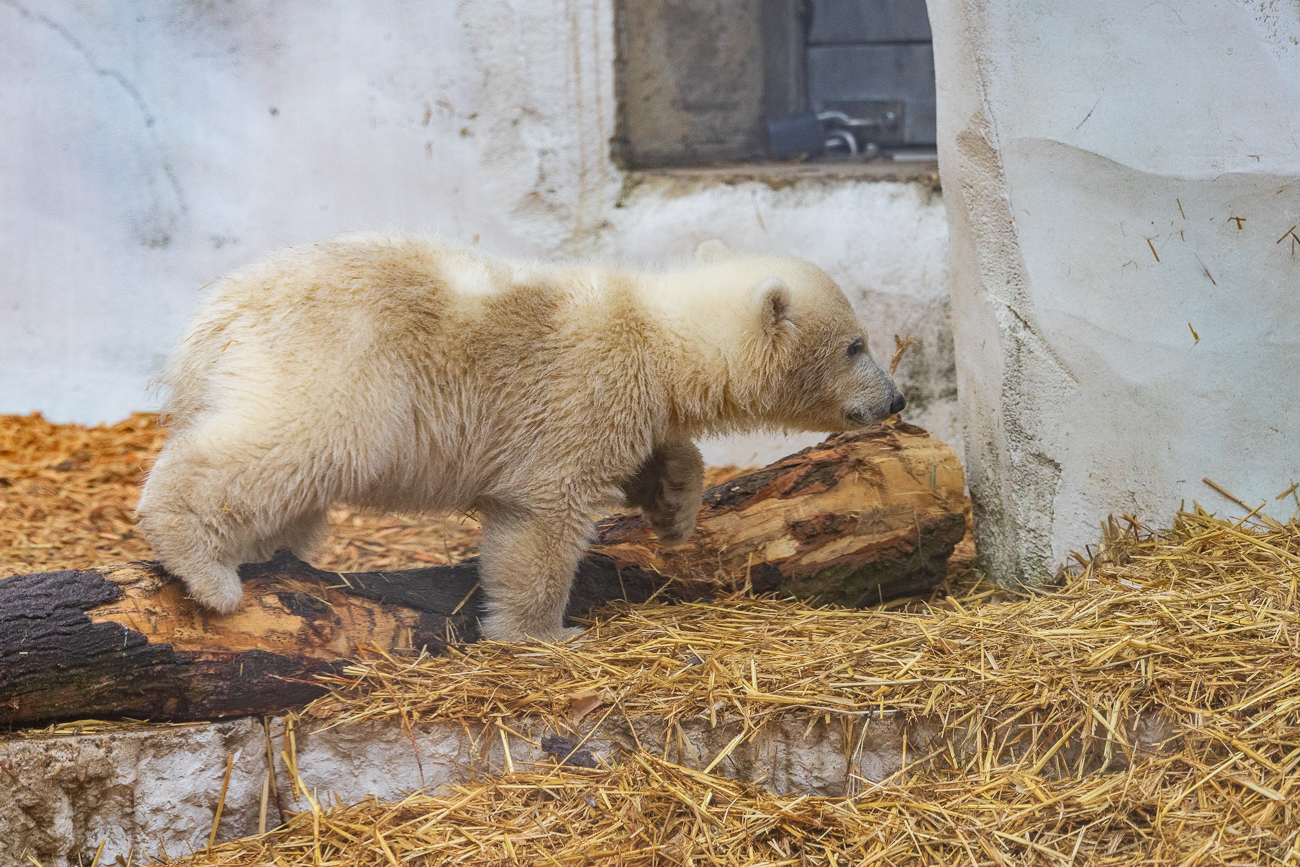 Doch der Kontakt zur Mutter ...
