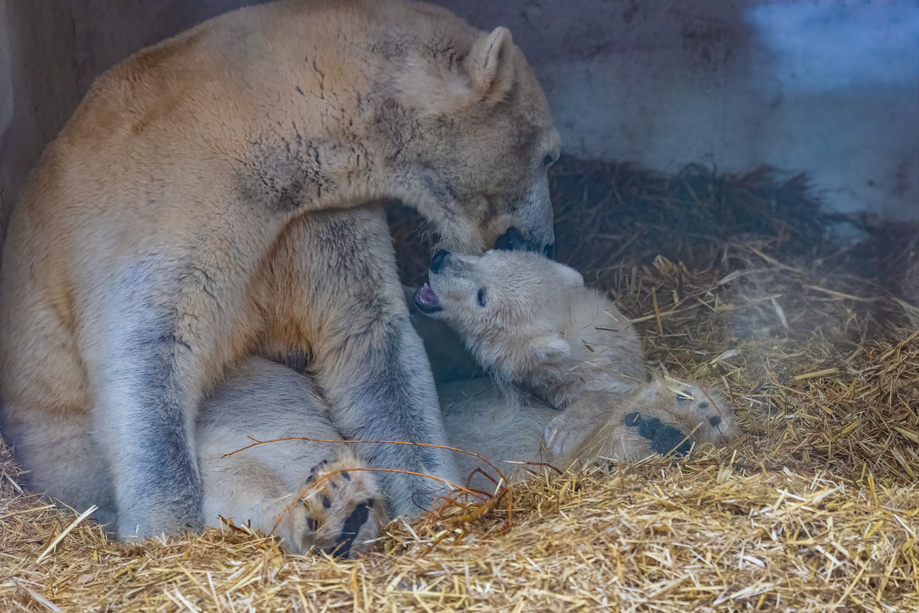 ... ist zur Zeit noch wichtiger