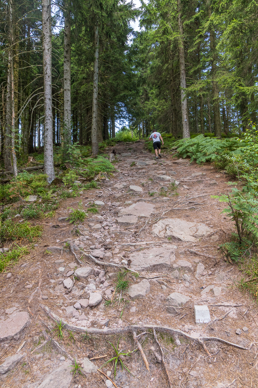 Hier geht es ziemlich steil hinauf
