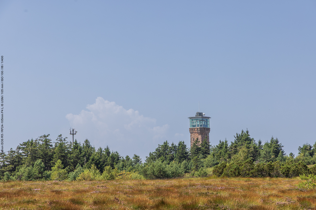 Der Hornisgrinde-Ausichtsturm