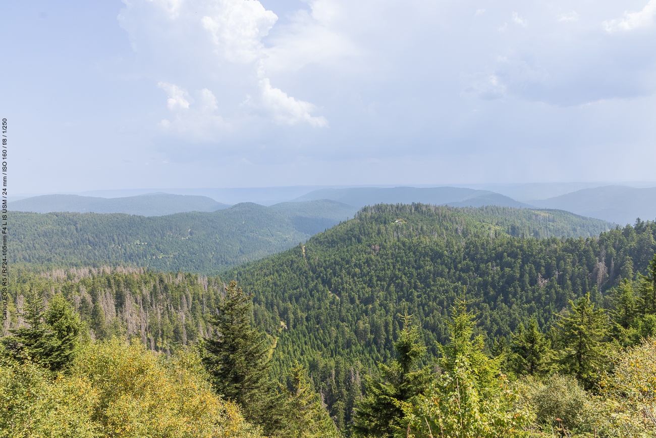 Schwarzwaldblick mit Gewitterstimmung