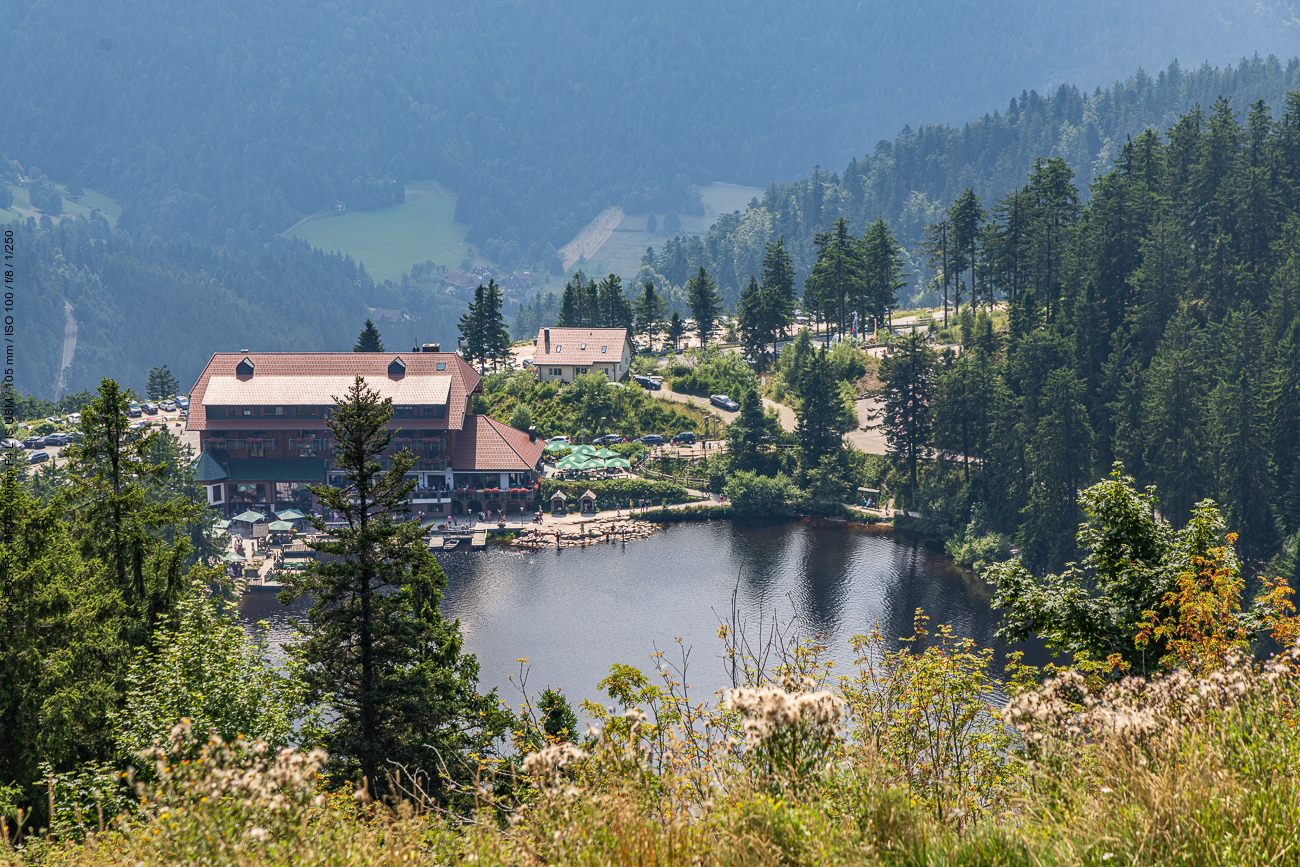 Blick auf den Mummelsee