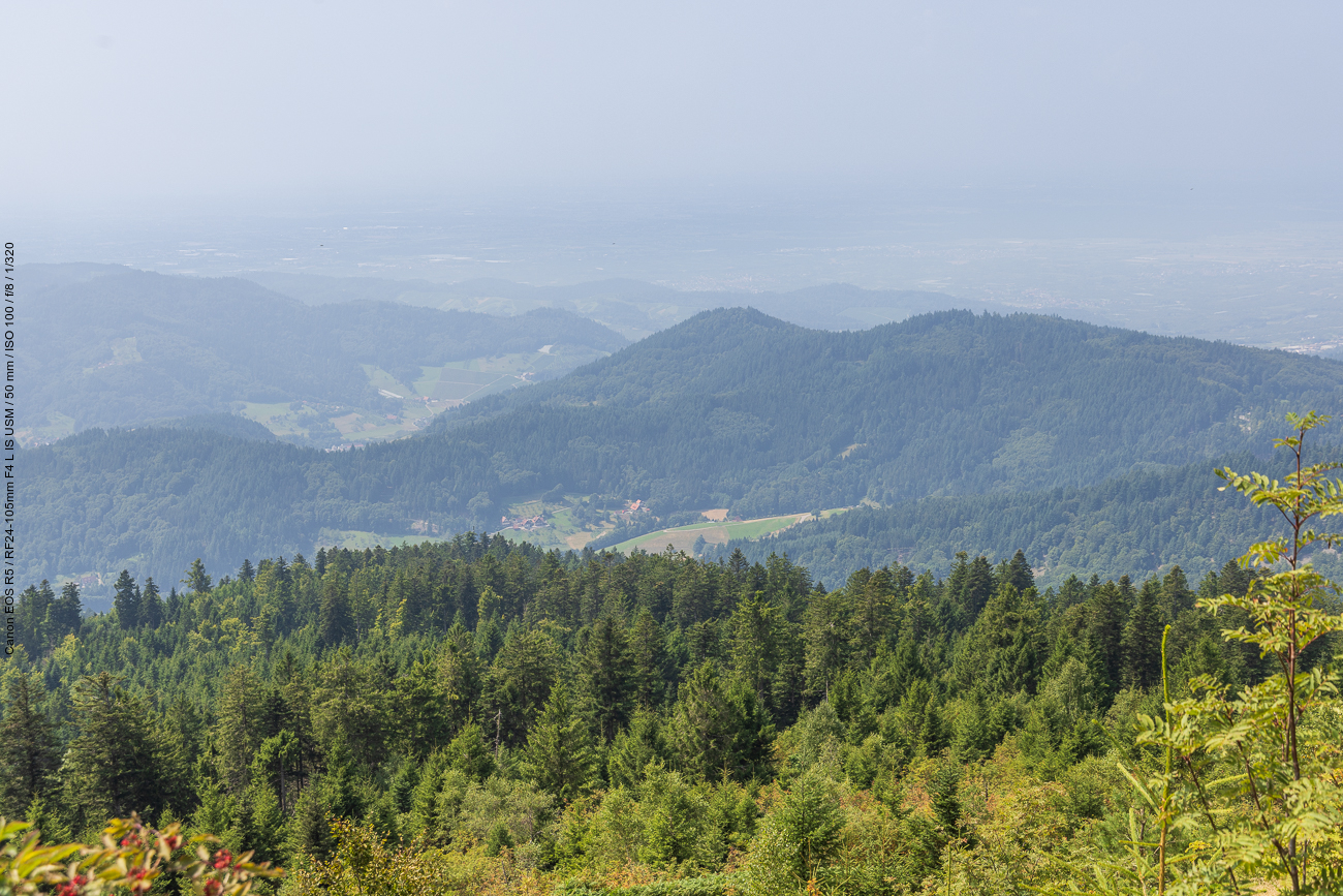 Nochmal ein Schwarzwaldblick