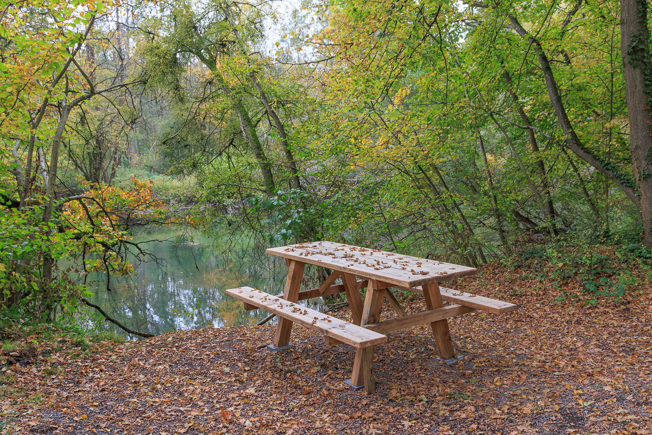 Einsame Bank am Altrhein