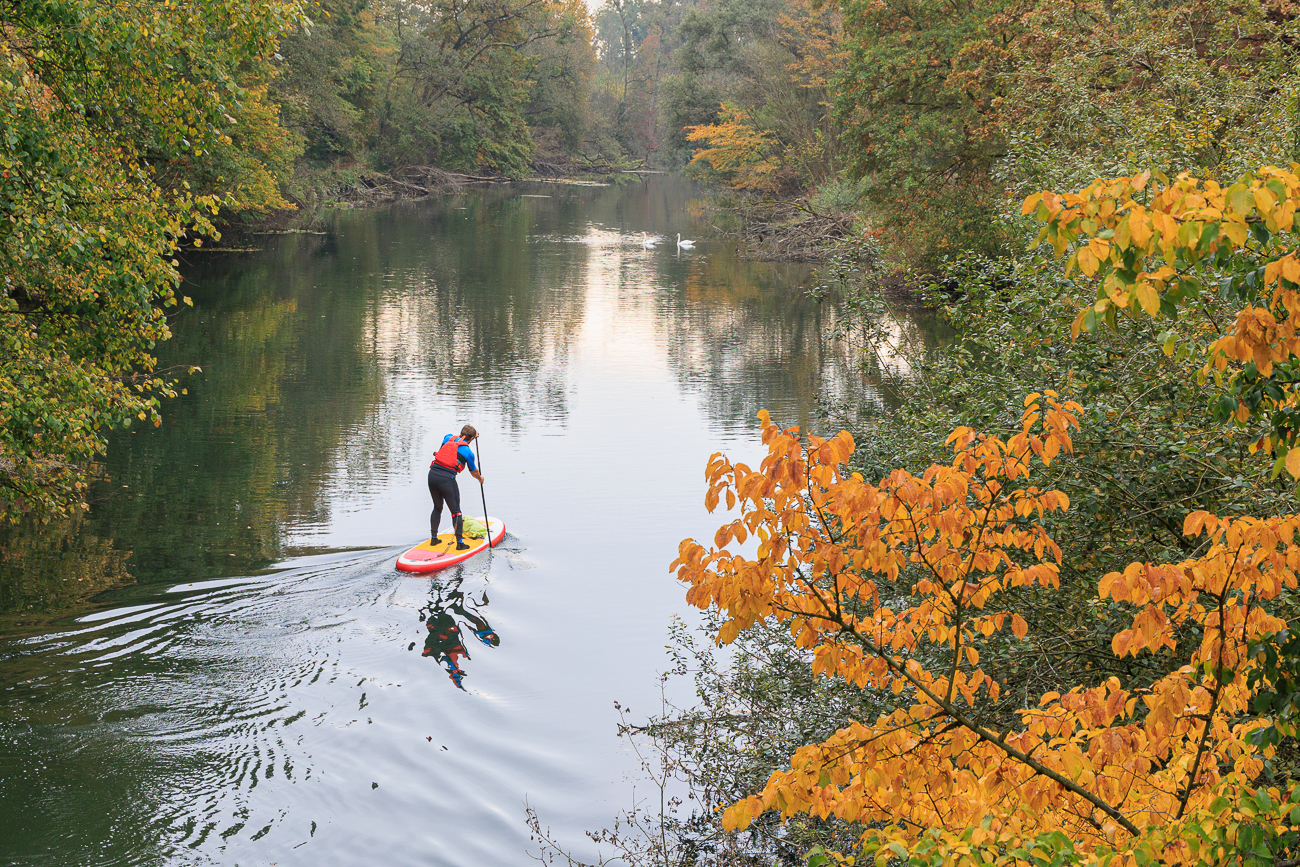 SUP auf dem Altrhein