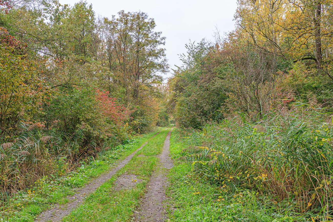 Weg zum Naturschutzzentrum