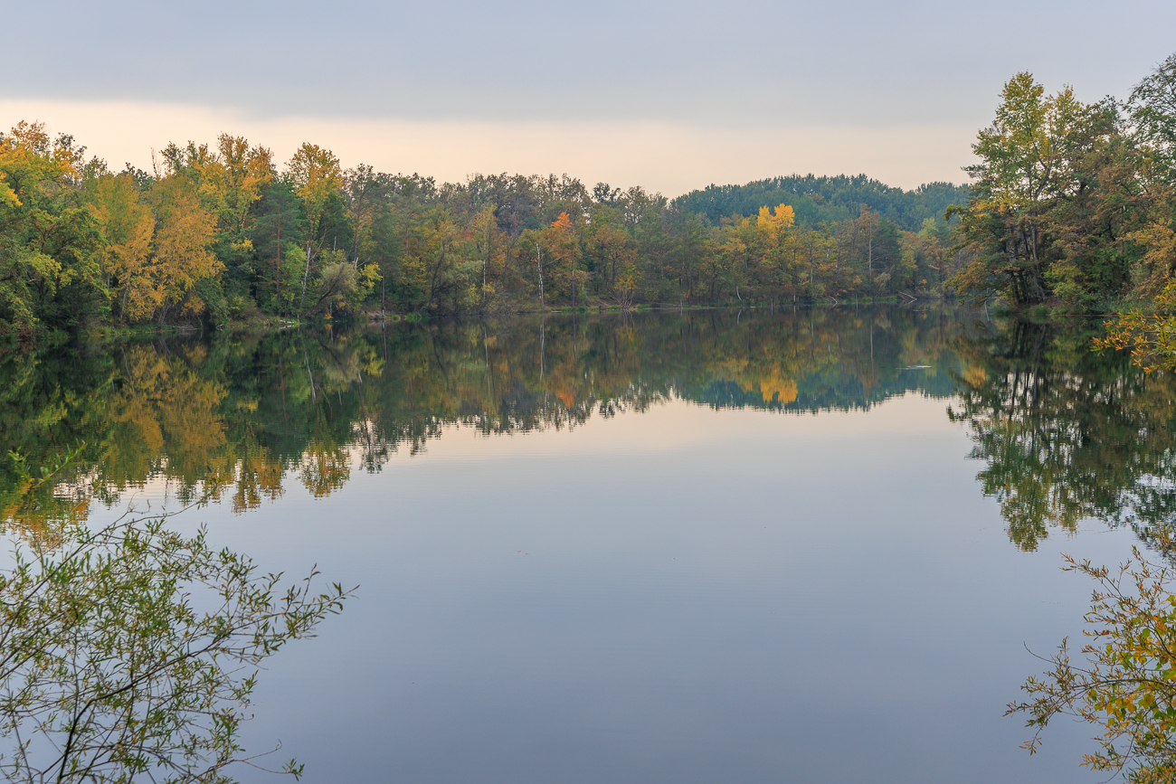 Ententeich am Naturschutzzentrum
