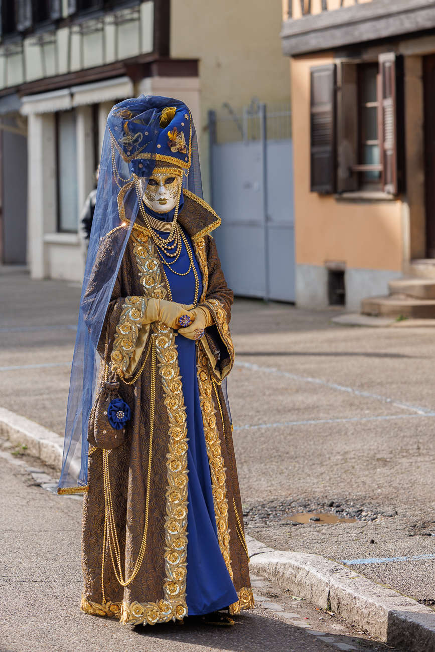 Dame in kostbarem Gewand