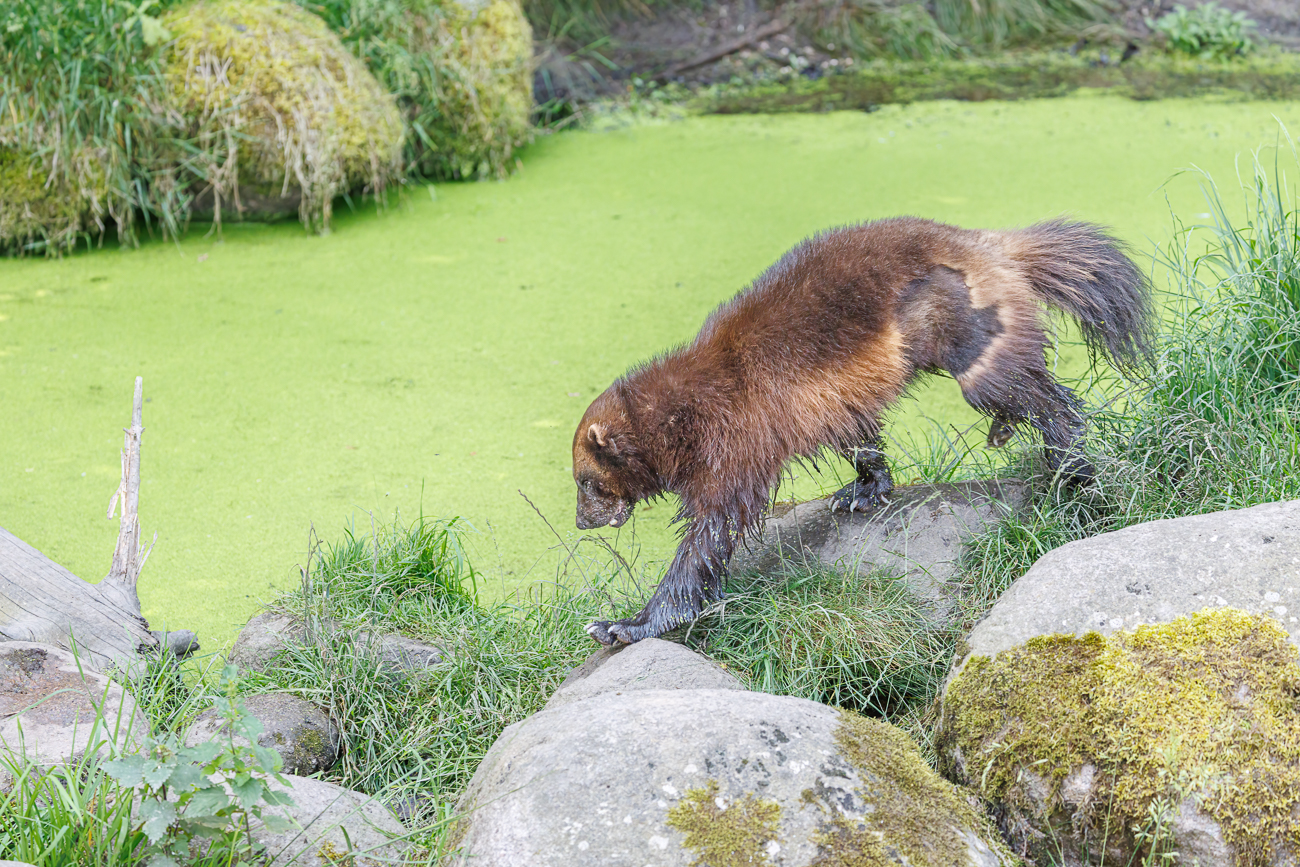 ... und weiter bis hin zum Wasserbecken