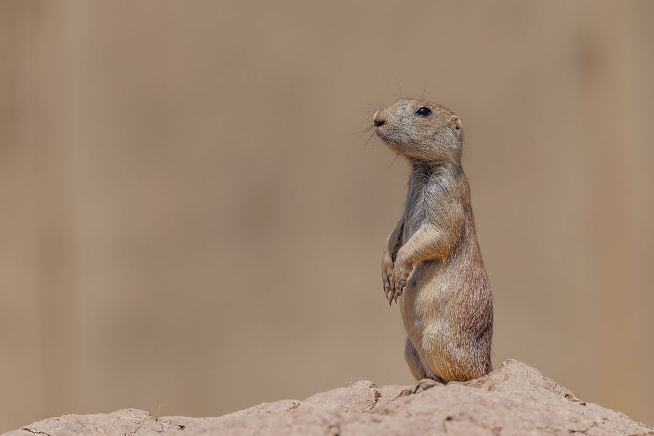 ... und dann wieder aufpassen