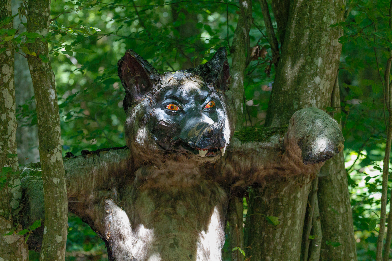 Wo ist das Rotkäppchen? ;-)