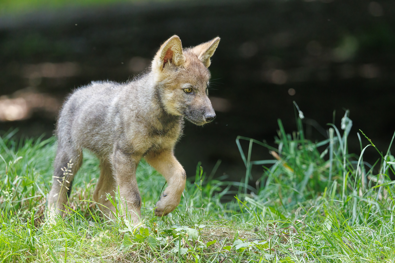 ... bereit die Welt zu erkunden