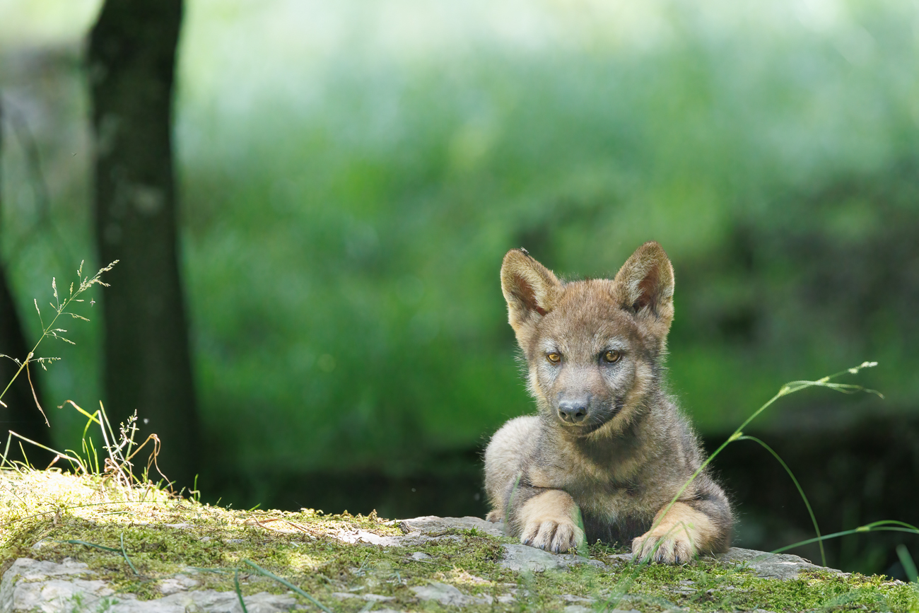 ... und mal abwartend