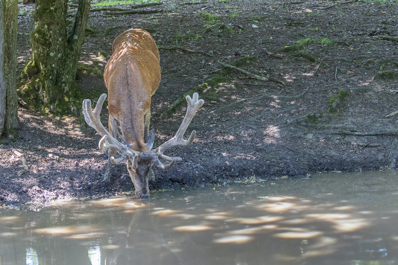 Abkühlung von innen