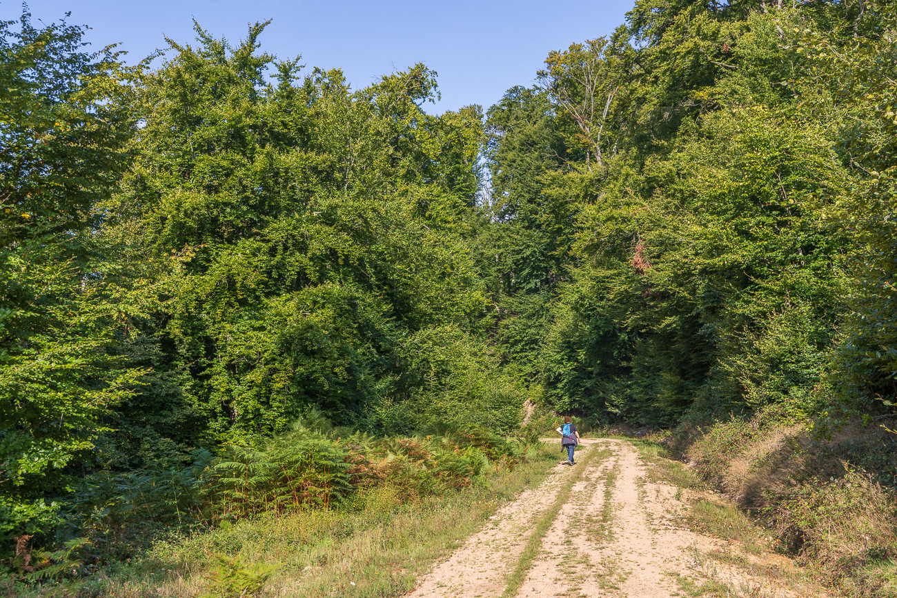 Es geht immer noch bergauf ;-)