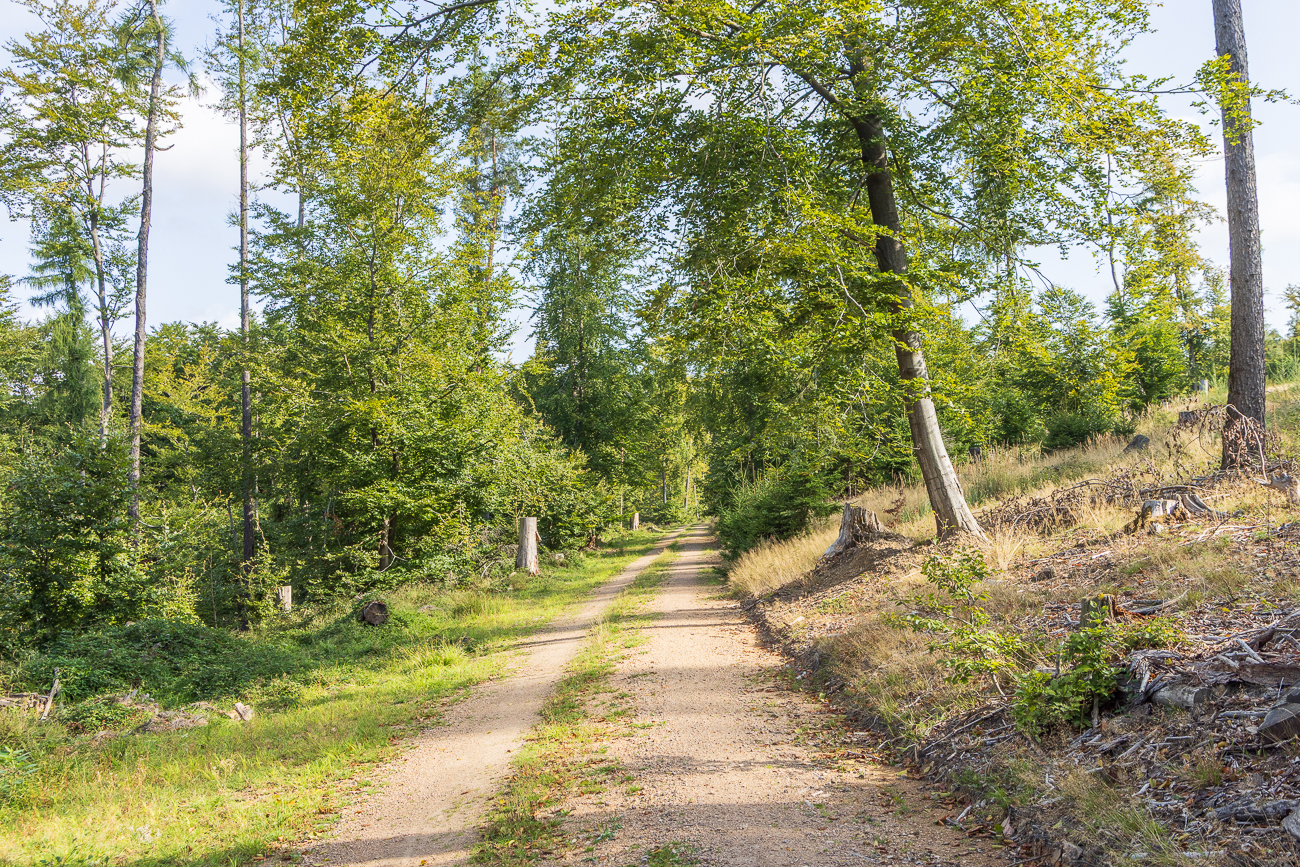 Nun sind wir fast oben