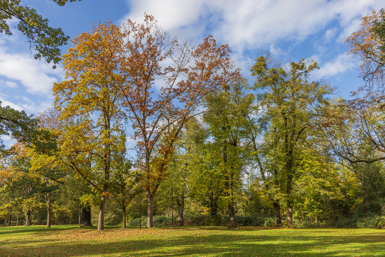 Im Schlosspark