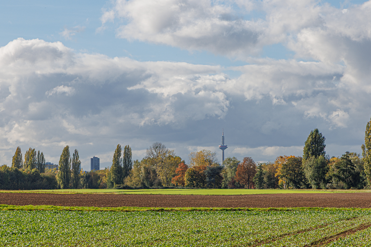 Am Horizont der Europaturm FrankfurtIn Anlehnung an die ähnliche Form des Gemüsespargels heißt er im Frankfurter Volksmund daher auch „Ginnheimer Spargel“ bzw. in neuhessisch „Ginnemer Schbarschl“ ;-)