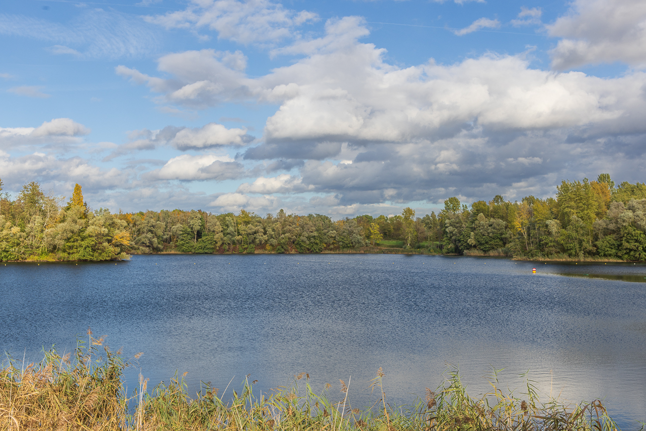 Der Schultheis-Weiher