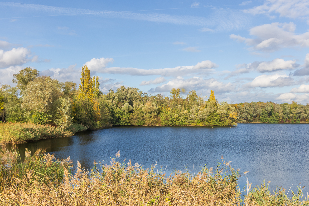 Zu einer anderen Jahreszeit sollen sich hier viele Wasservögel aufhalten