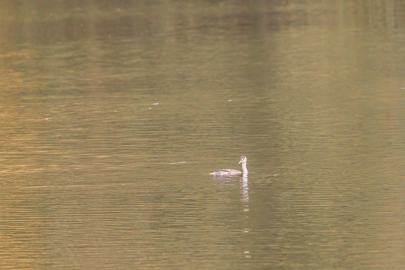 Alle wieder einmal zu weit weg ...