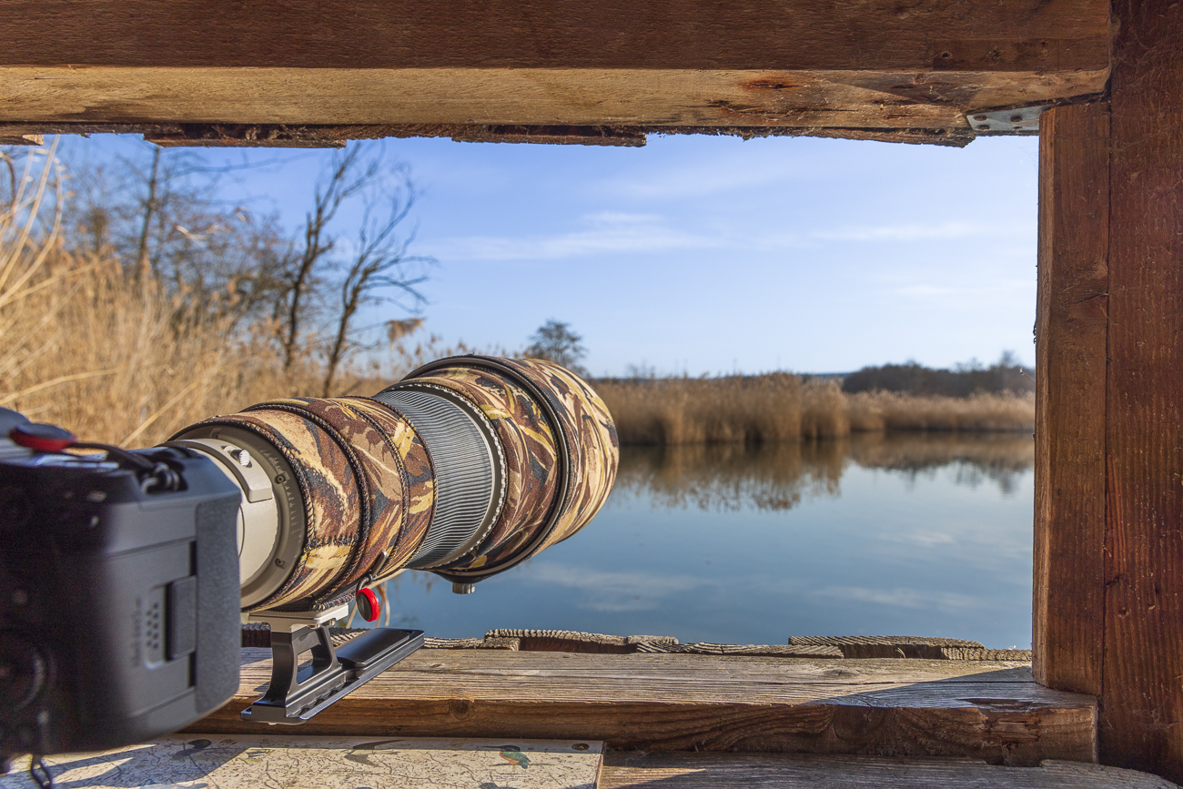 Auf der Lauer nach Vogelzeug ;-)