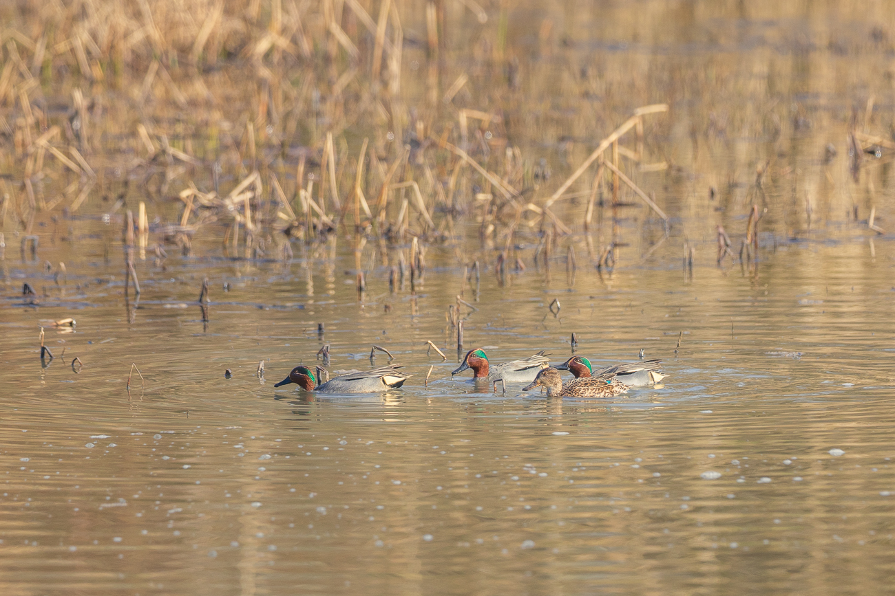Einige Wanderungen die wir 2025 in Luxemburg unternommen haben