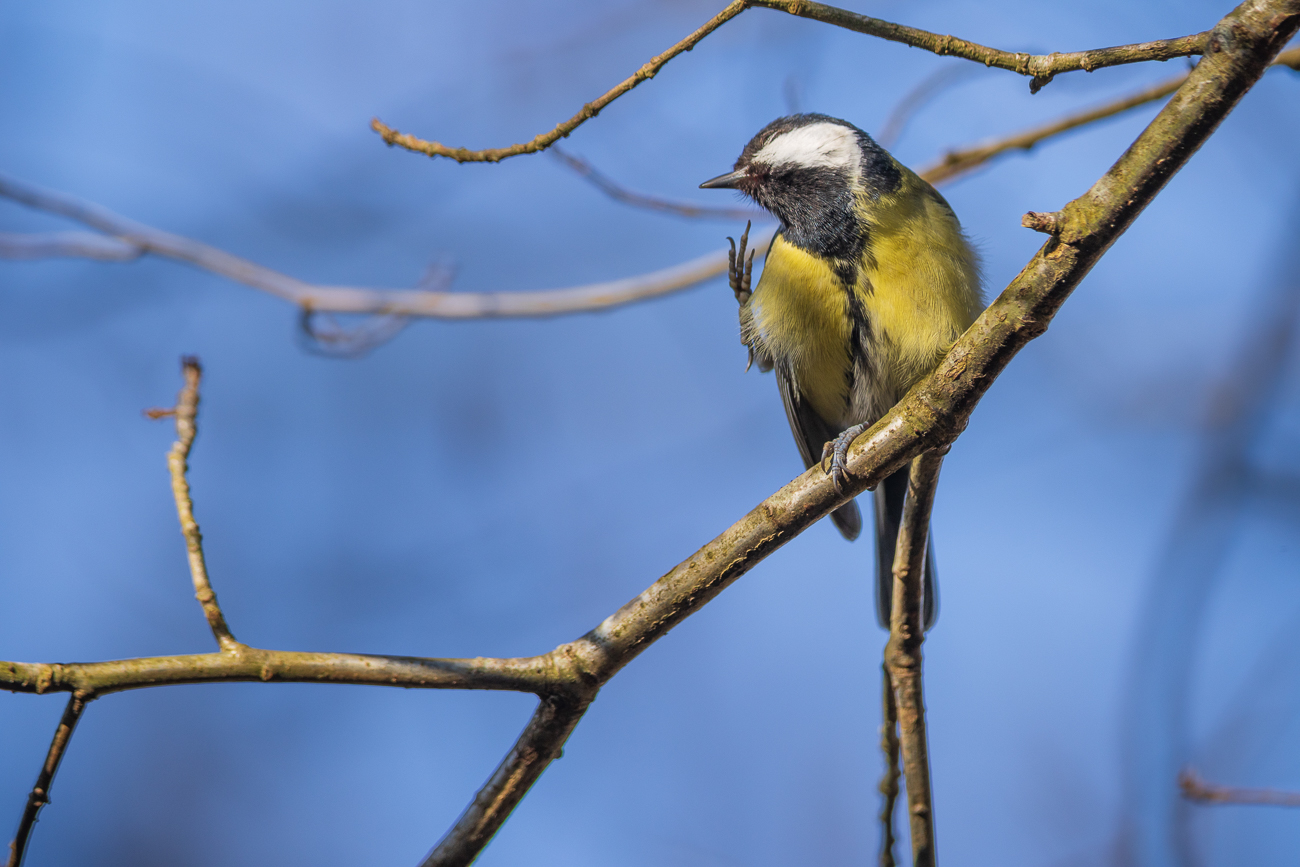 Wen es juckt, der muss sich kratzen ;-)