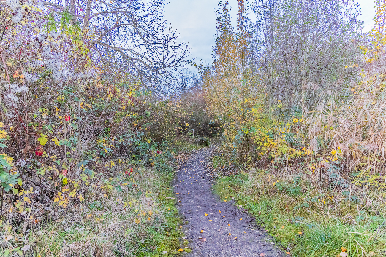 Wanderweg durch das Biotop Haff Réimech
