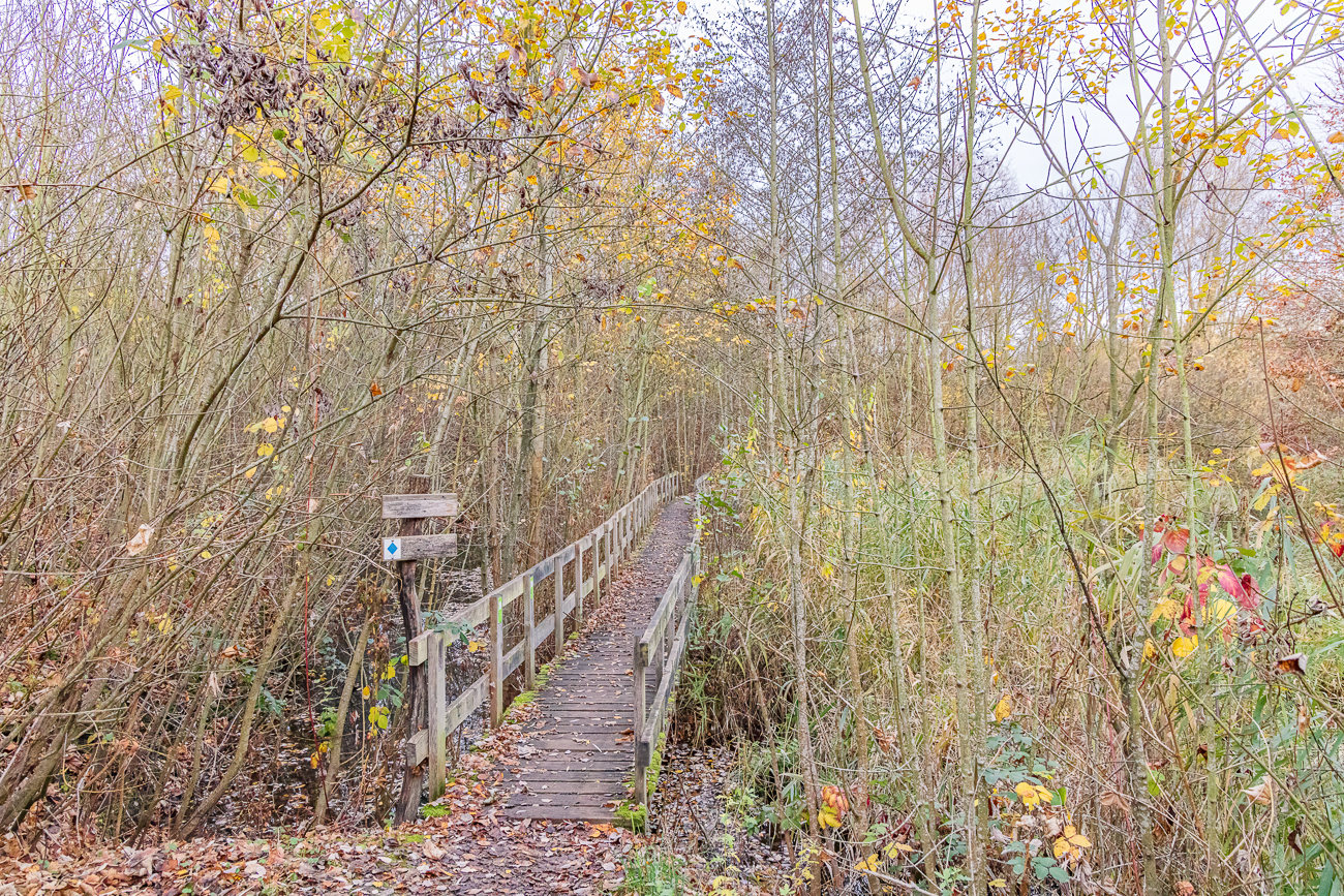 Überall fließt Wasser und muss überbrückt werden