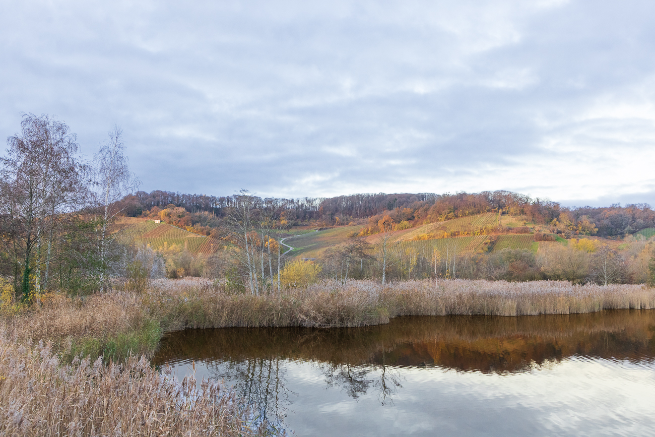 Nochmal der Hommelsberg