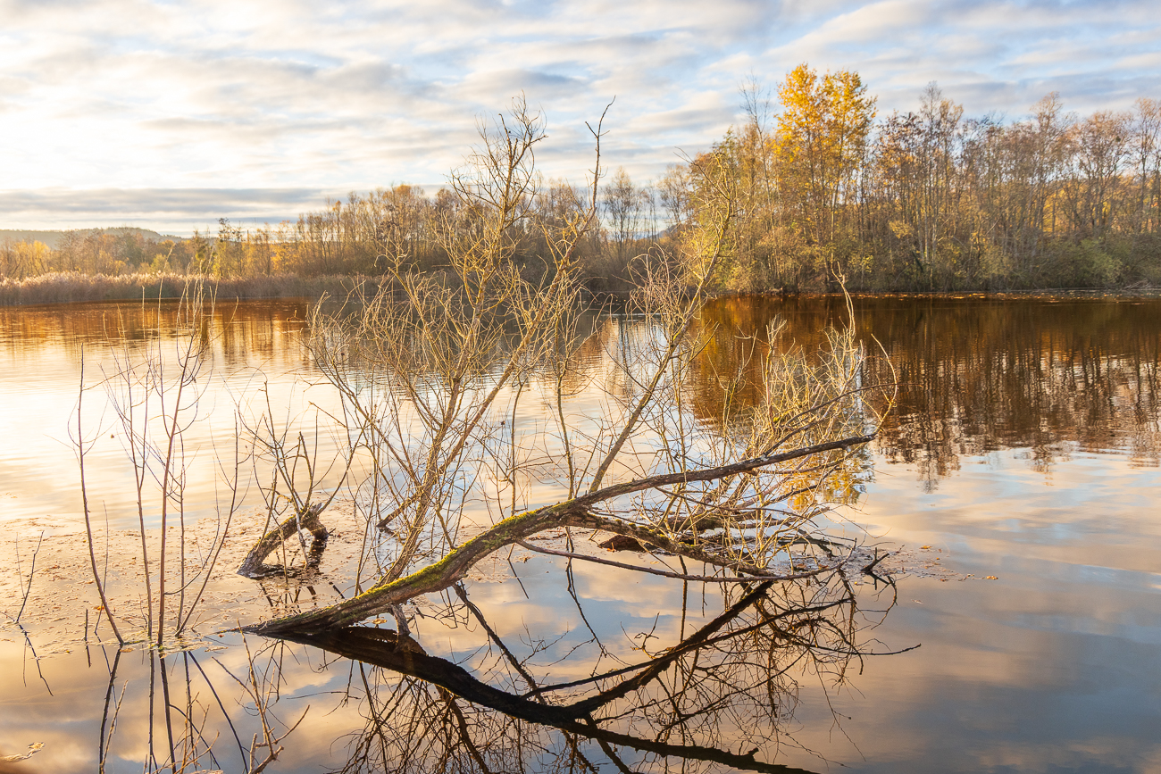 Sonnenlicht spiegelt sich im See