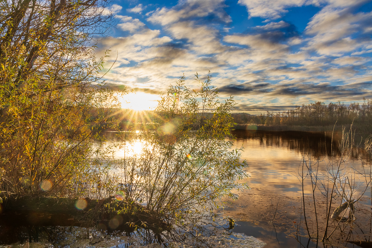 Sonnenlicht spiegelt sich im See