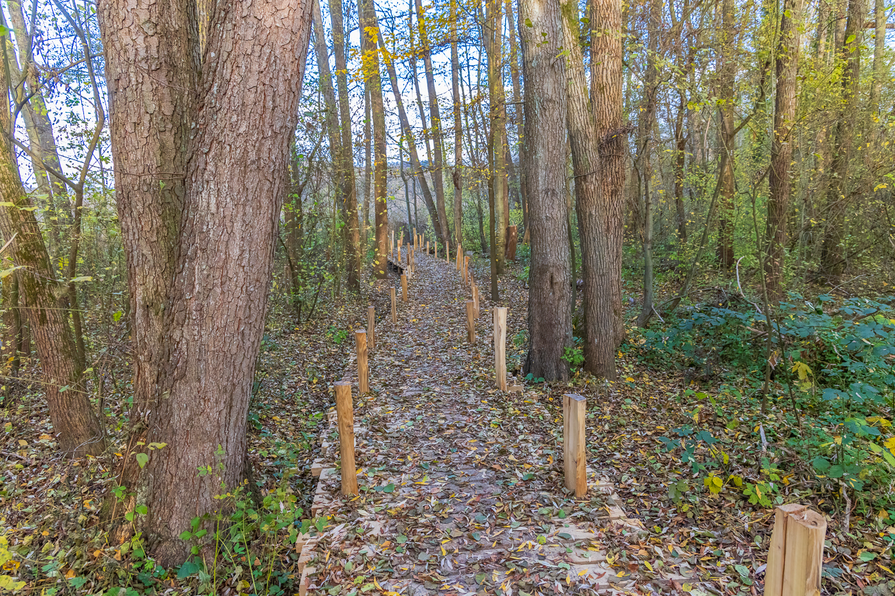Neuer Holzweg über sumpfiges Gelände
