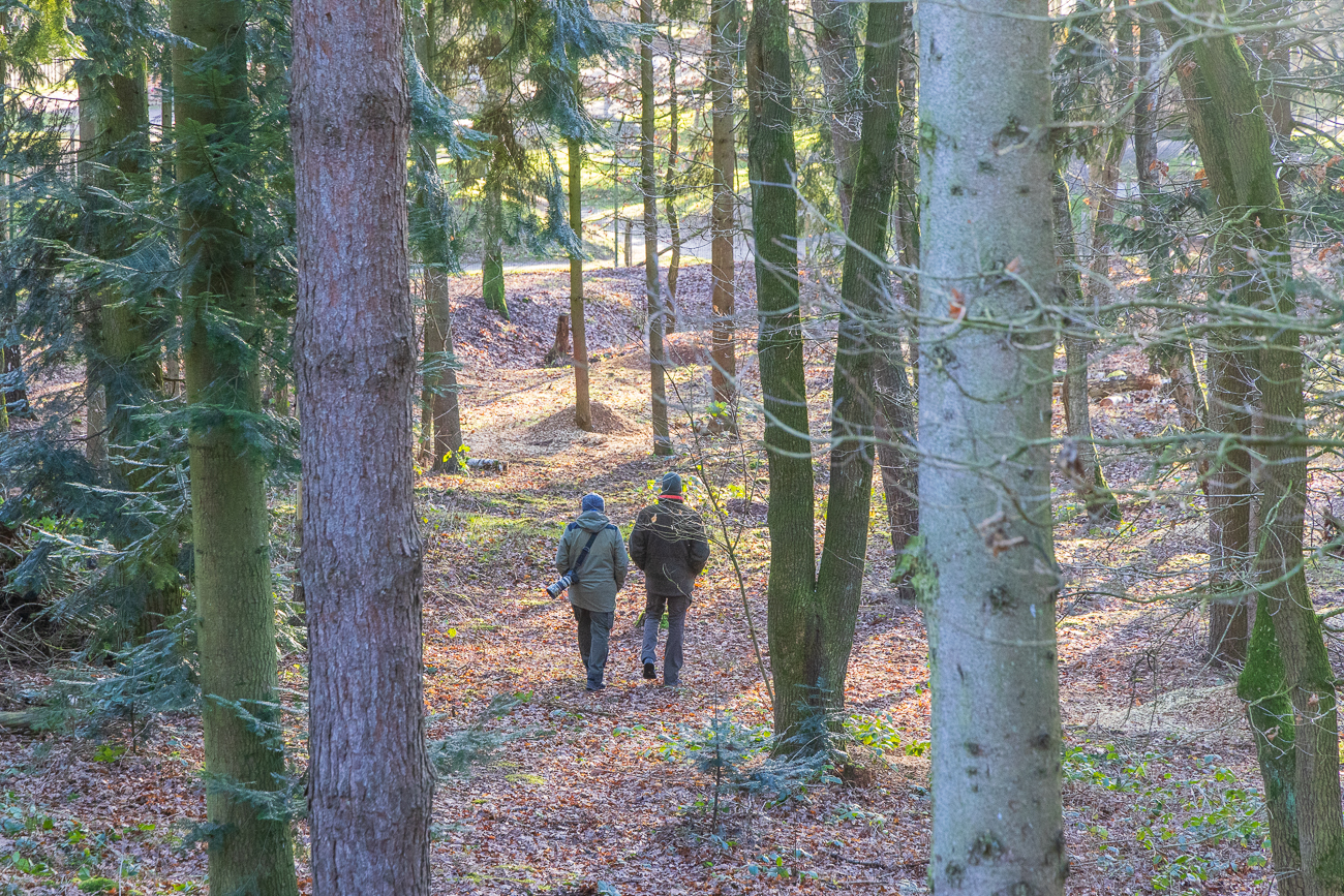 Hier gehe ich mit einem Guide in das Gehege der Grauwölfe ;-)