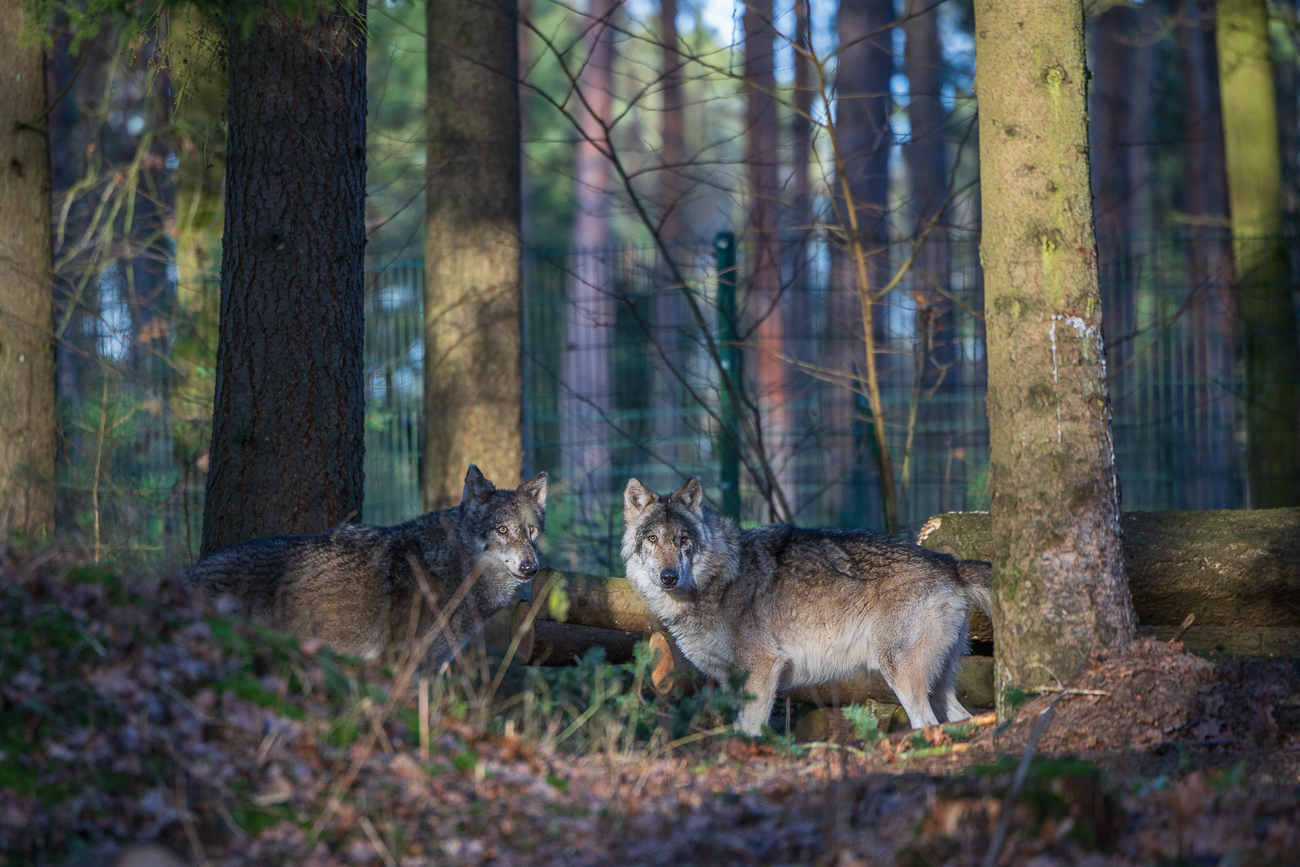 ... bleiben zunächst aber auf Abstand