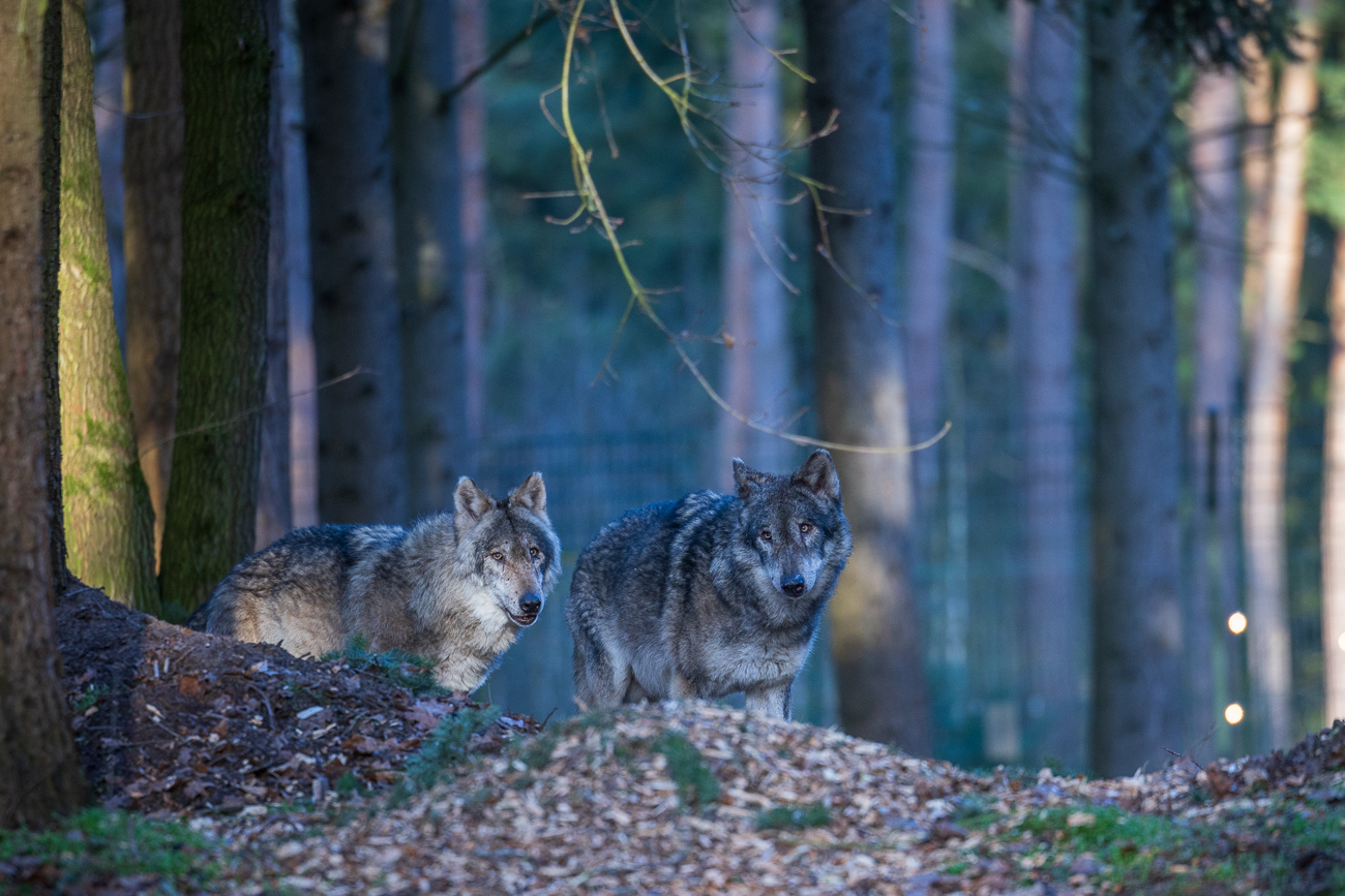 ... und beobachten uns