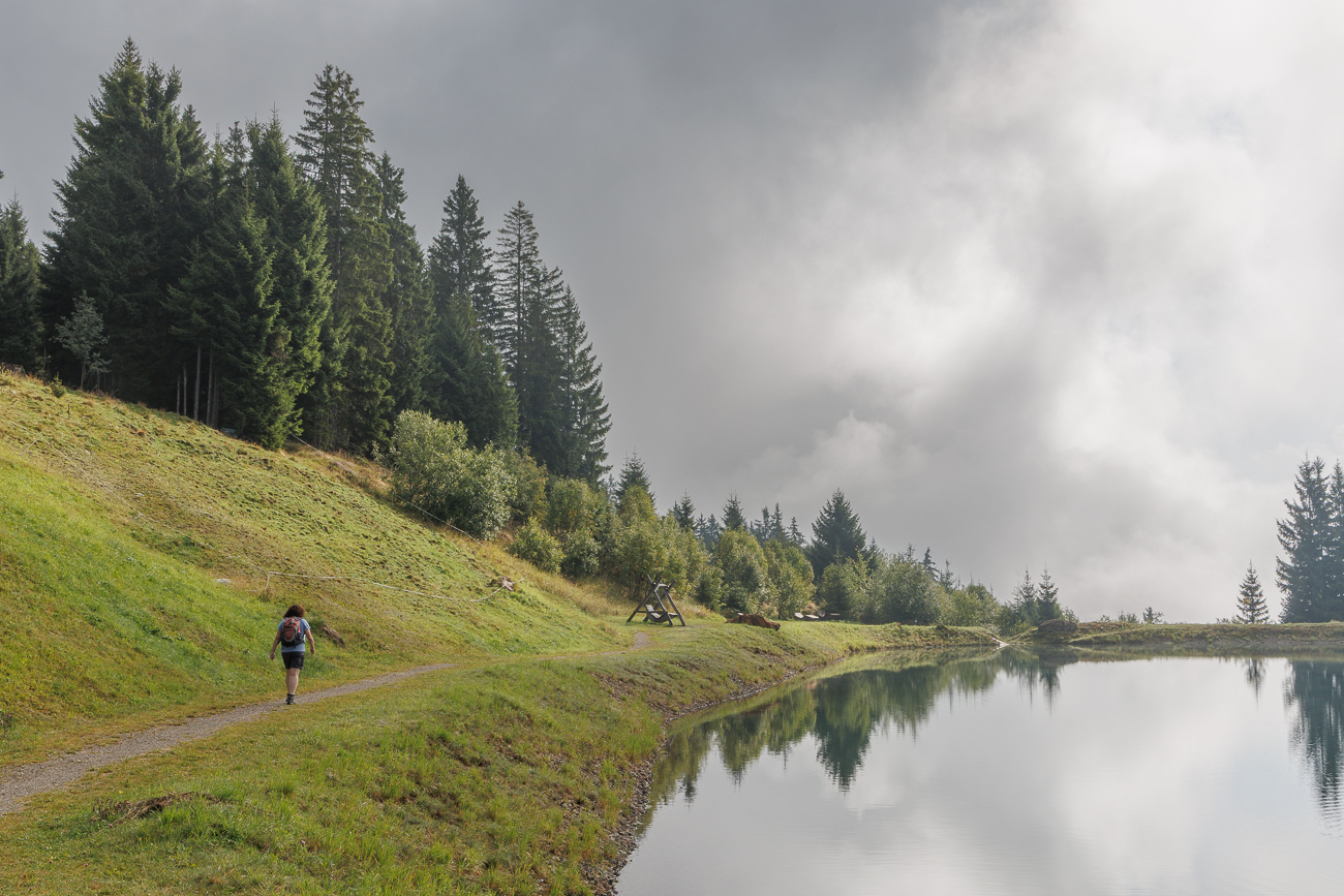 Nochmal ein Schwarzwaldblick
