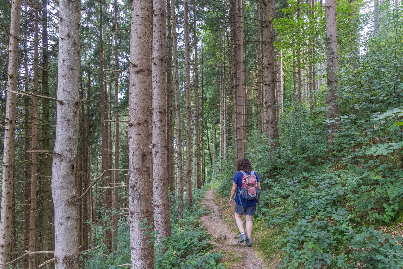 Es geht weiter hinab ins Tal