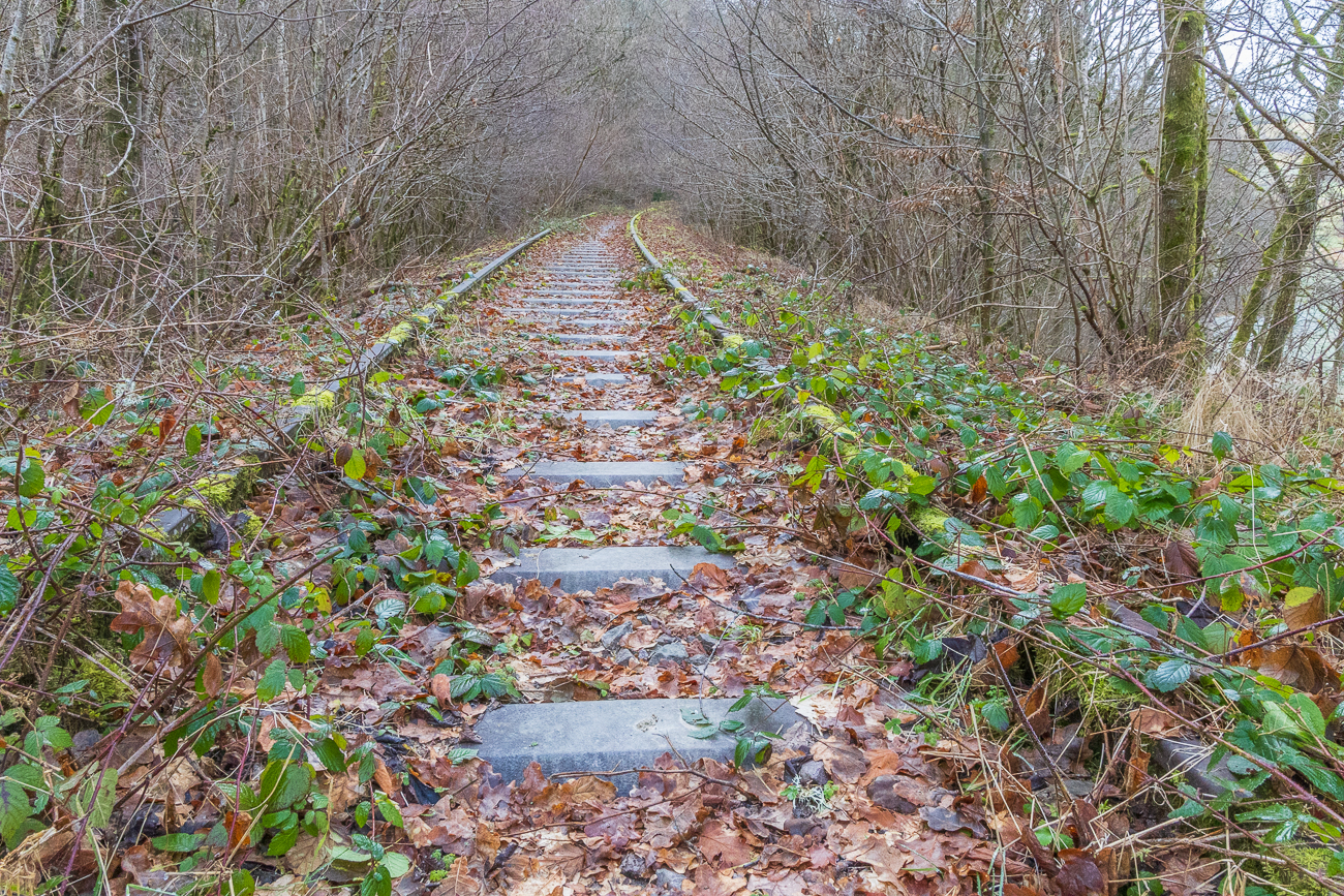 Nochmals alte Schienenstränge