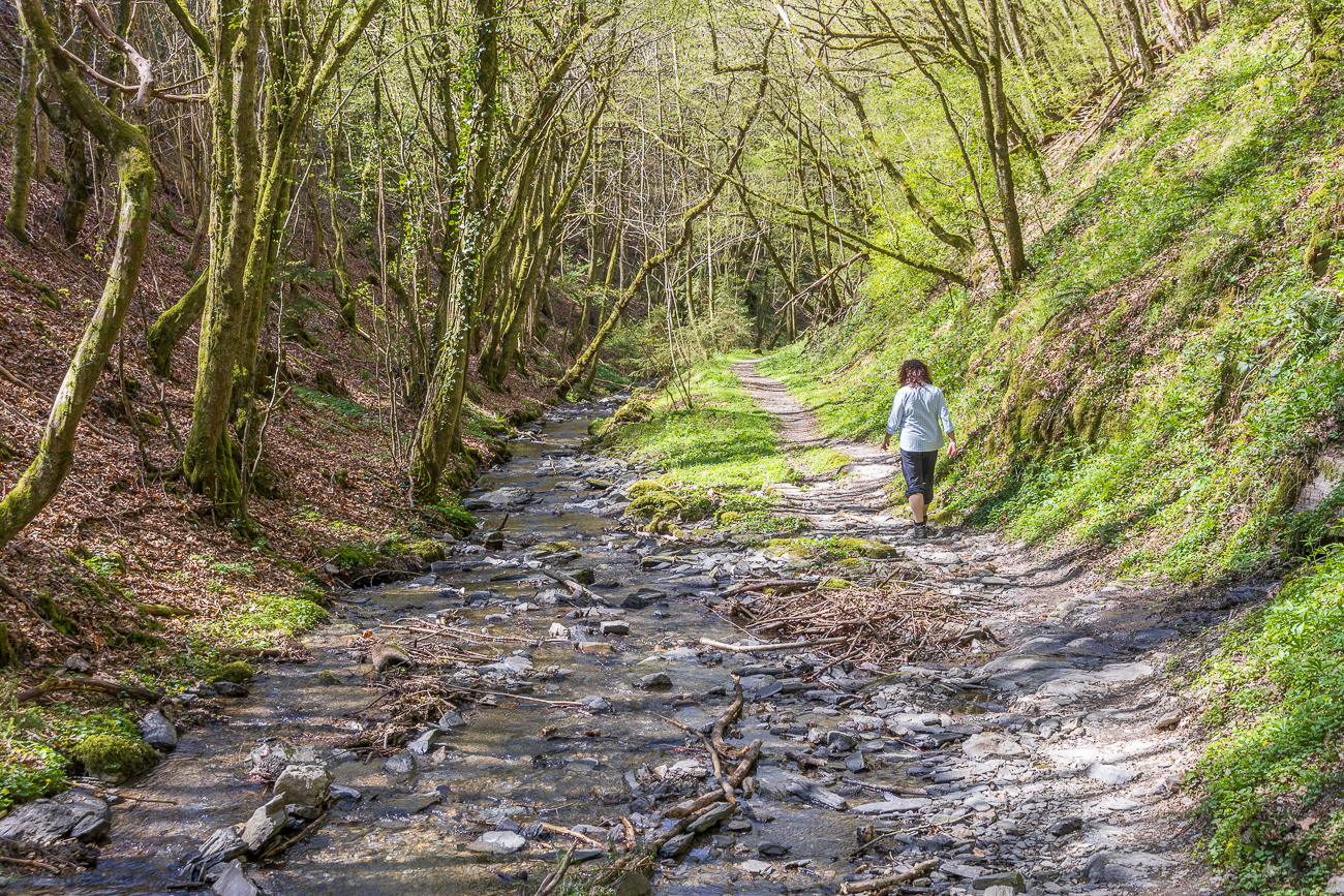 Weg entlang des Hitzelbach