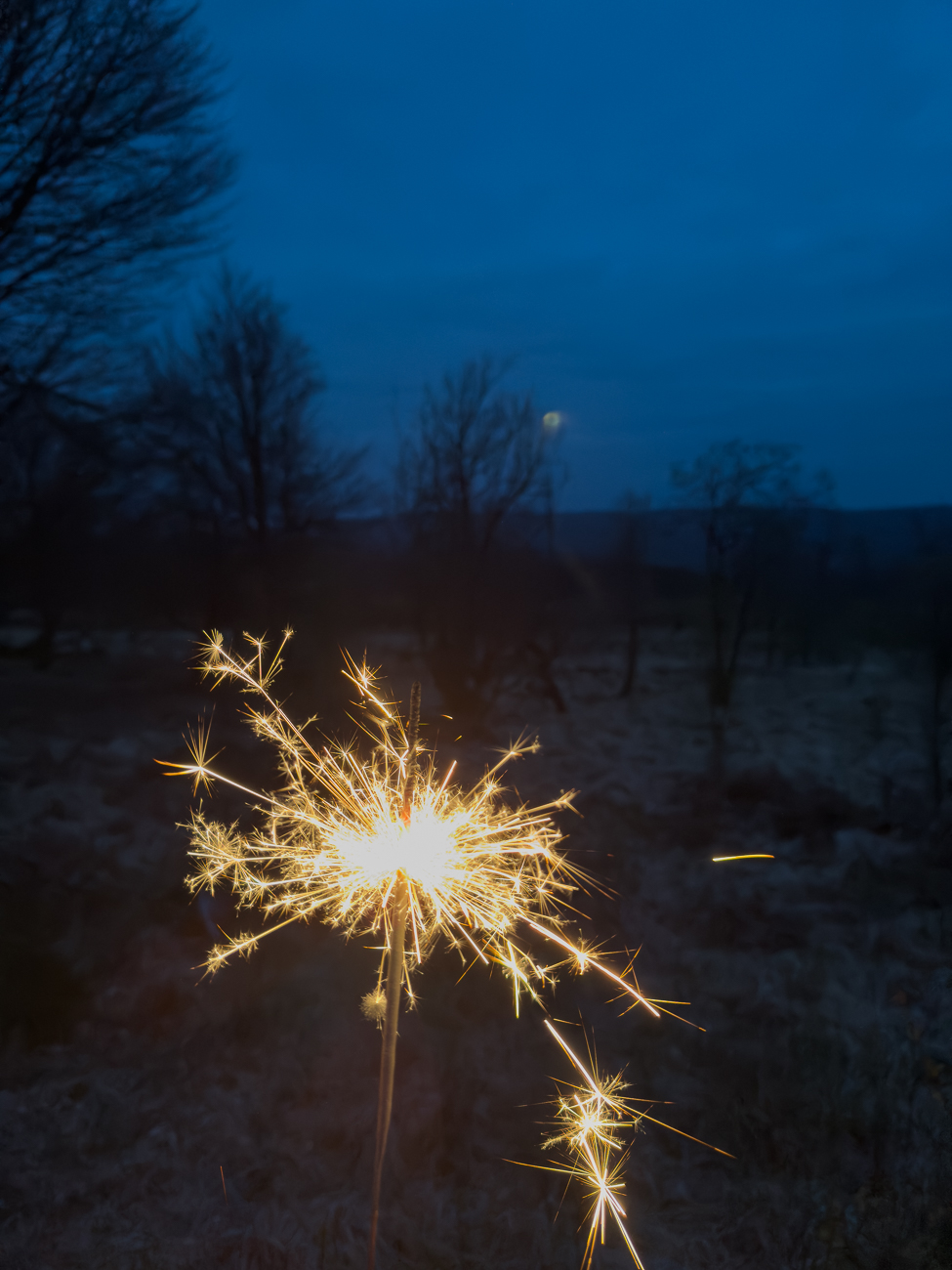 Irrlichter sahen wir keine ...