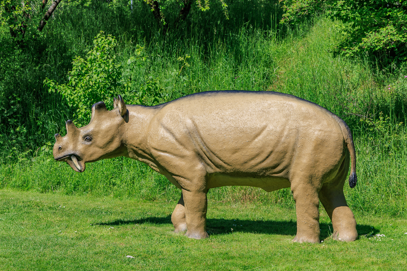 Imposante Reißzähne und Hörner