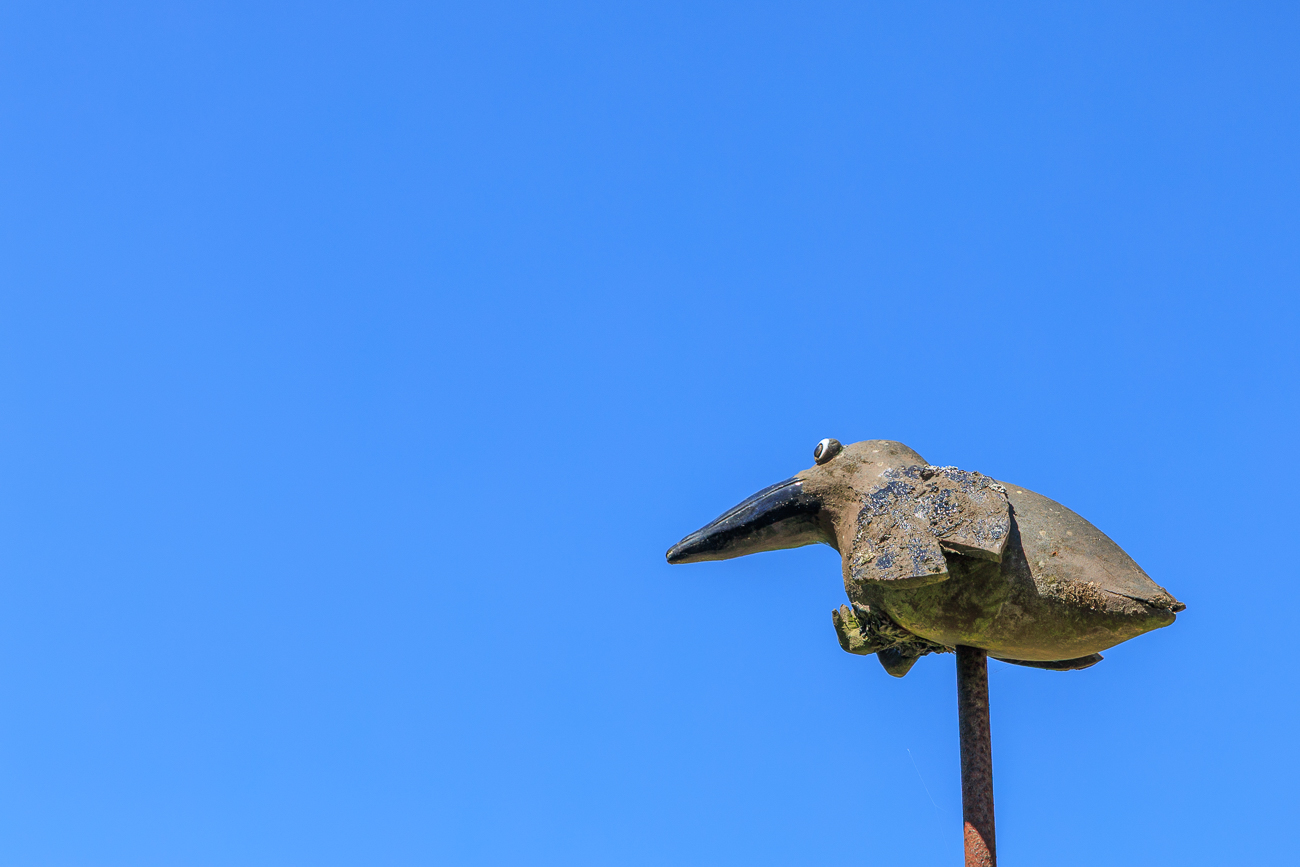 ... mit künstlichen Raben