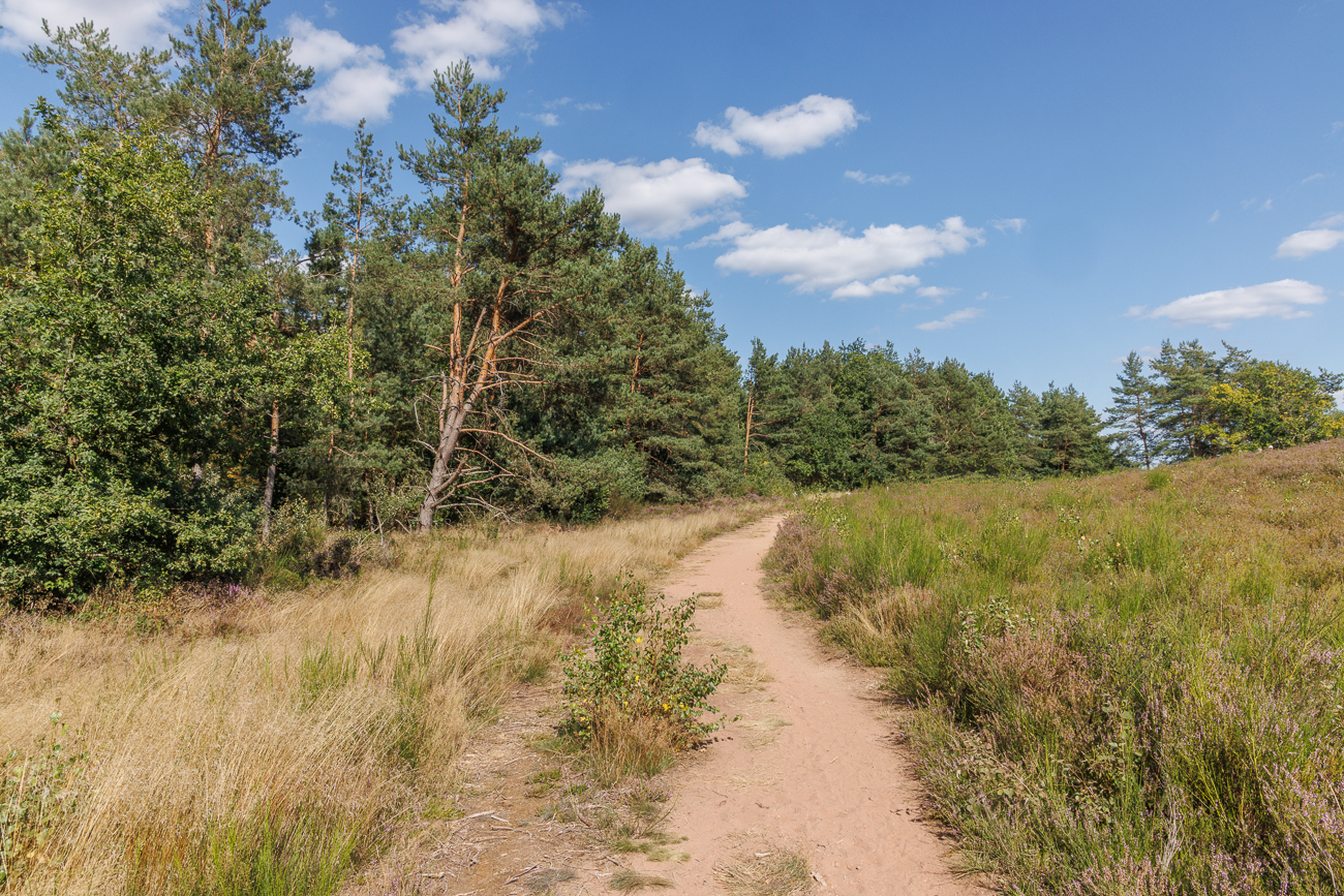 Heute ein seltener Anblick, gerade mal keine Menschen zu sehen