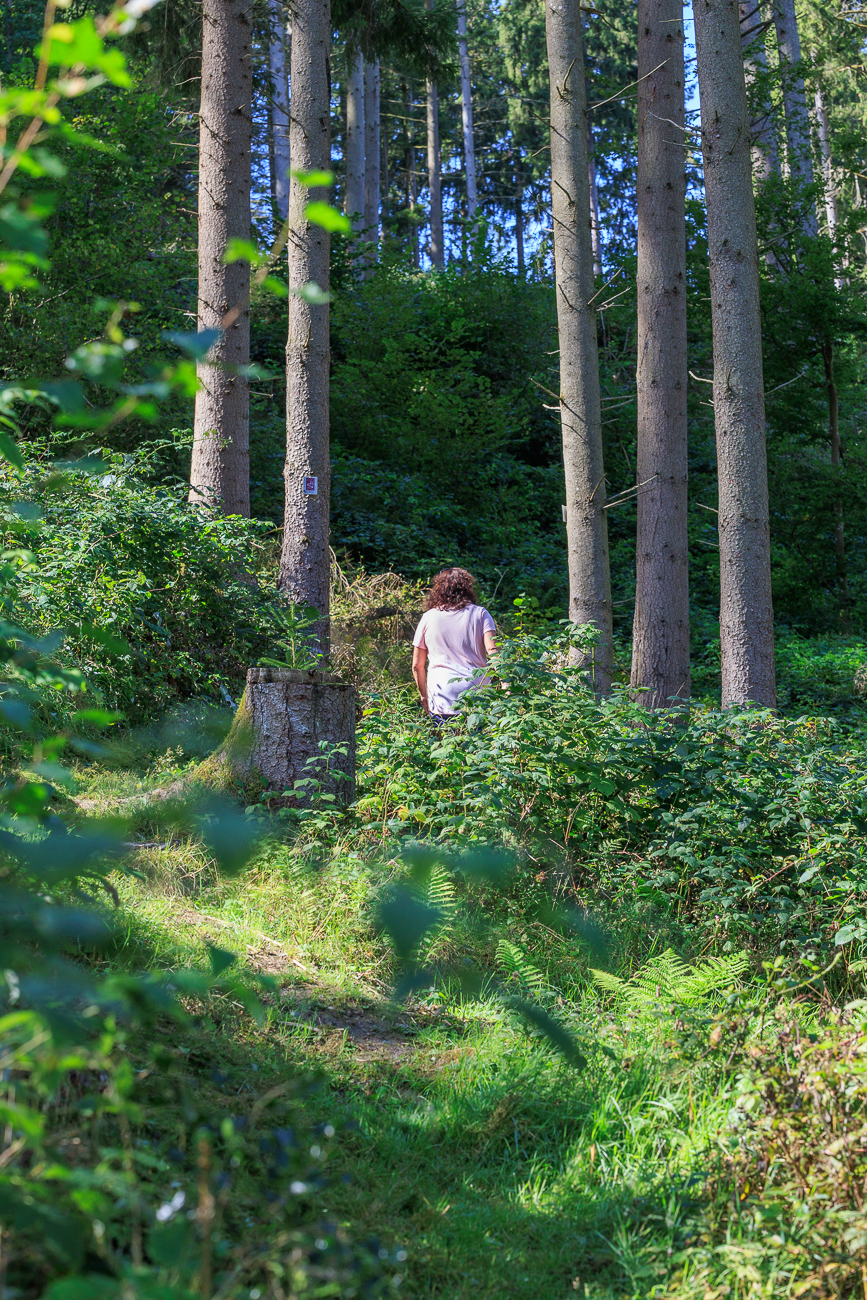 Ab durch das Gesträuch ...