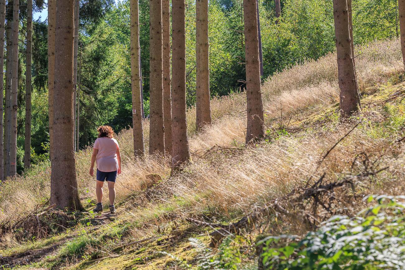 ... und über den sonnenbeschienen Hang
