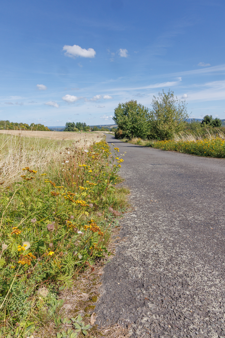 Blumengesäumter Weg