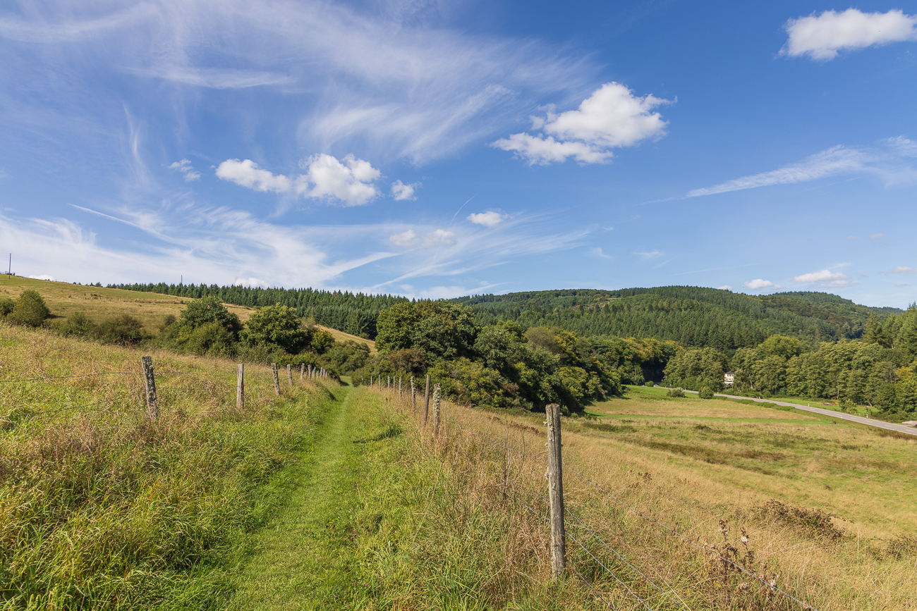 Kurz vor dem Ende der Wanderung