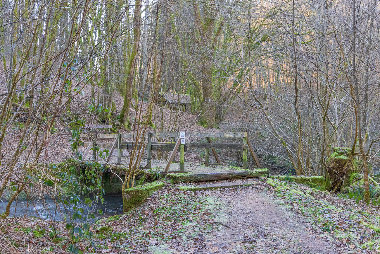Brücke über den Lautenbach